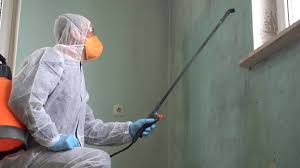 Mold Remediation for Rental Properties in Upper Sandusky, OH